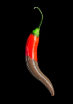 Chili & Schokolade. Der Geschmack Mexikos. Ausstellung im Botanischen Museum Berlin. Foto: Chr. Hillmann-Huber / Botanischer Garten und Botanisches Museum Berlin Chili & Schokolade. Der Geschmack Mexikos. Ausstellung im Botanischen Museum Berlin. Foto: Chr. Hillmann-Huber / Botanischer Garten und Botanisches Museum Berlin