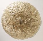 Lunariascheibe aus Samenblatthülsen von Lunaria. © Katja Wunderling 2009 / Galerieausstellung im Botanischen Museum Berlin-Dahlem Lunariascheibe aus Samenblatthülsen von Lunaria. © Katja Wunderling 2009 / Galerieausstellung im Botanischen Museum Berlin-Dahlem
