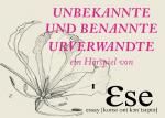 Hörspiel-Spaziergang vom Künstlerduo essay Hörspiel-Spaziergang vom Künstlerduo essay
