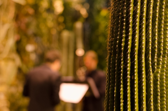 Palmensinfonie. Foto: K. Schomaker, Botanischer Garten und Botanisches Museum Berlin Palmensinfonie. Foto: K. Schomaker, Botanischer Garten und Botanisches Museum Berlin