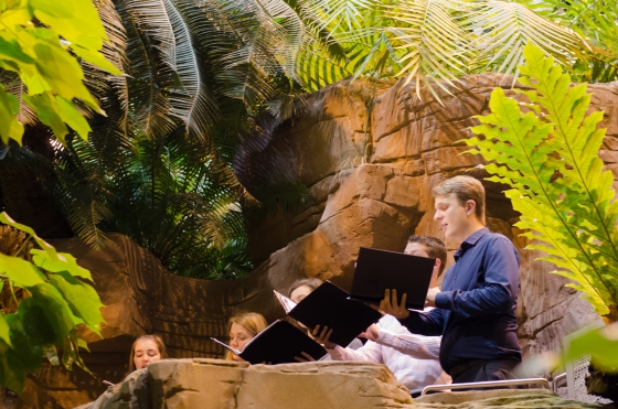 Palmensinfonie, Chor Canto. Foto: K. Schomaker / Botanischer Garten und Botanisches Museum Berlin Palmensinfonie, Chor Canto. Foto: K. Schomaker / Botanischer Garten und Botanisches Museum Berlin