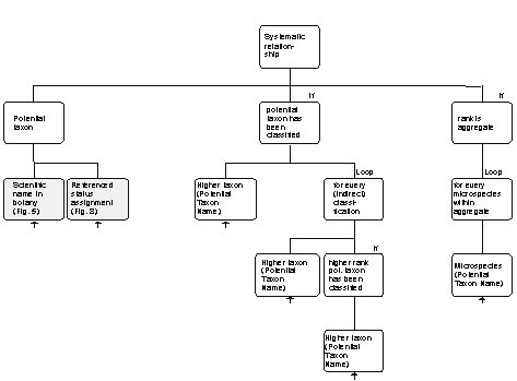 The IOPI Model