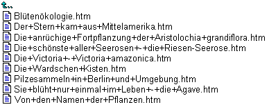 Abb. 4-4: Dateien im Verzeichnis \BGBM\PR\Zurzeit\Papers\