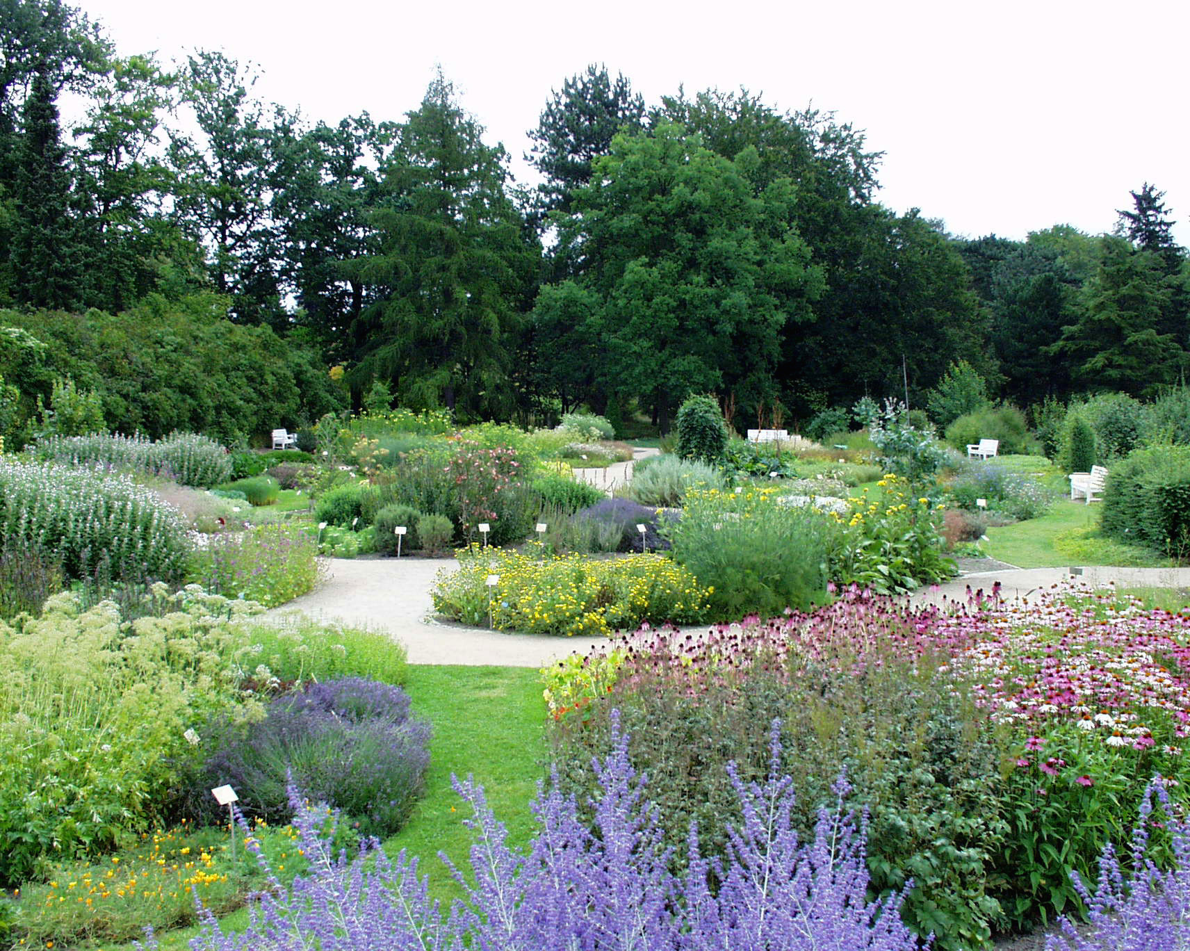 arzneipflanzengarten.jpg Botanischer Garten Berlin