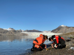 Wissenschaftler*innen entnehmen Biofilm-/Sedimentsproben mit Kieselalgen (Diatomeen) im Flachwasser der Insel Blomstrandhalvøya im Kongsfjord auf Spitzbergen. Wissenschaftler*innen entnehmen Biofilm-/Sedimentsproben mit Kieselalgen (Diatomeen) im Flachwasser der Insel Blomstrandhalvøya im Kongsfjord auf Spitzbergen.