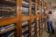© A. Obermüller Schränke im Herbarium