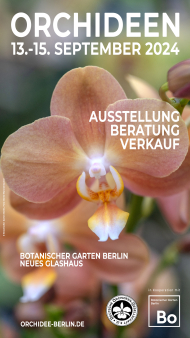 Orchideenschau_2024.jpg