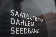 2024 10 10 Saatgutbank-3655.jpg