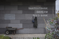 2024 10 10 Saatgutbank-3659.jpg