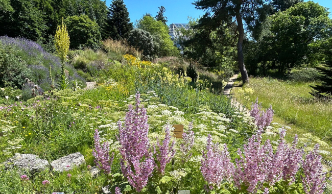<p>Folgt</p>